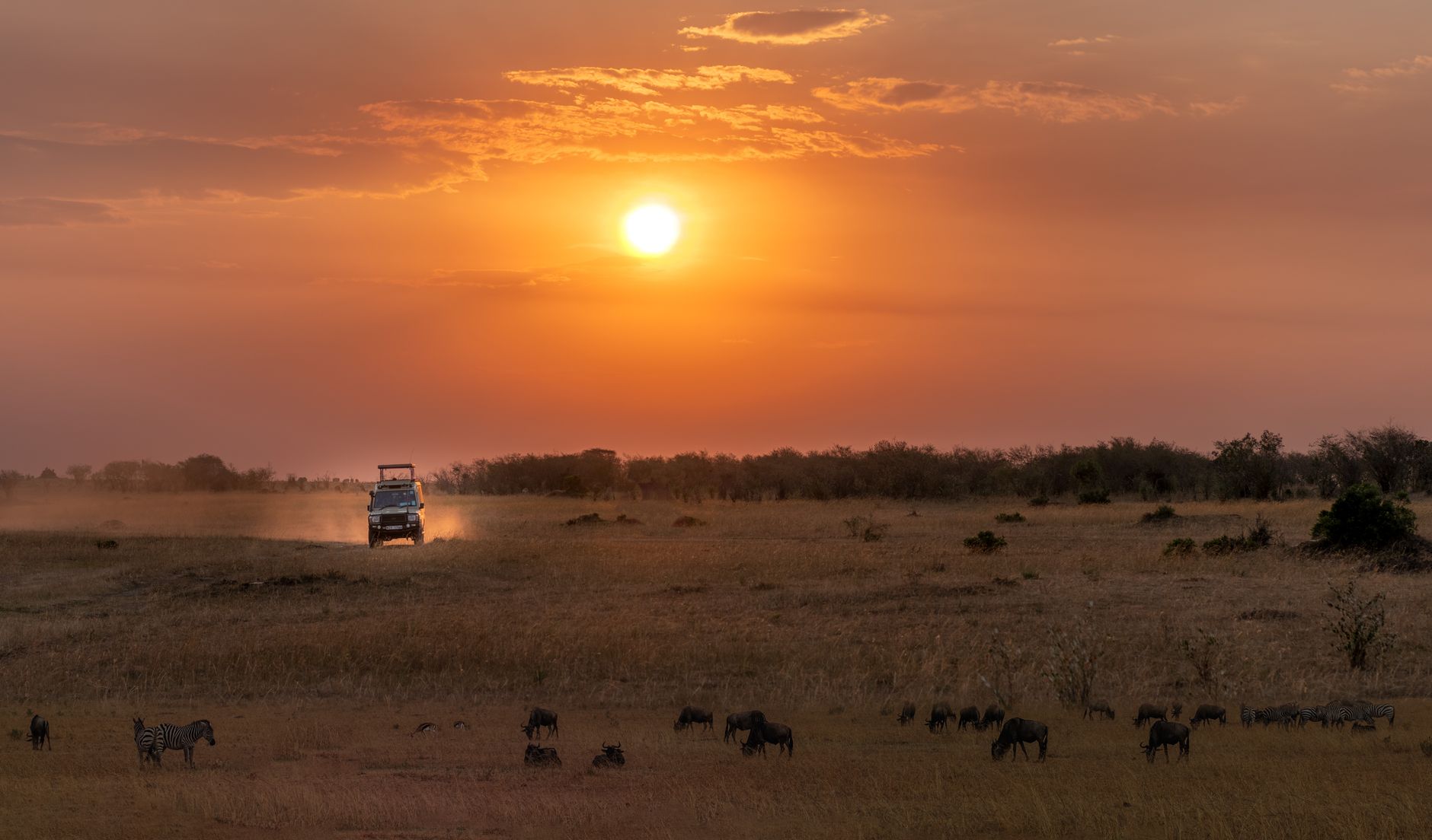 The Definitive Cape Town & South Africa Safari Guide (2026)