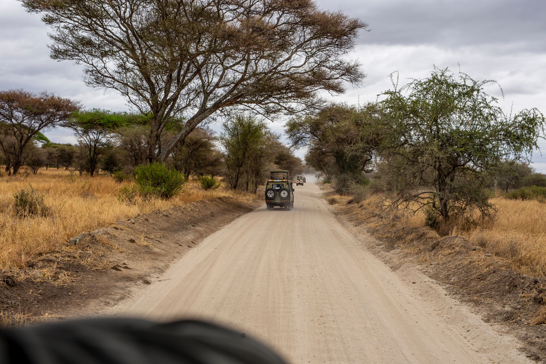 South Africa & Safari Travel Guides & Logistics (2026)